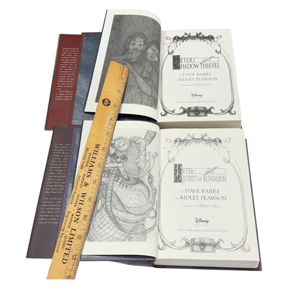 Peter Pan Dave Barry Ridley Lot 2 Rundoon Shadow Thieves Book HC DJ First Ed - Picture 4 of 10